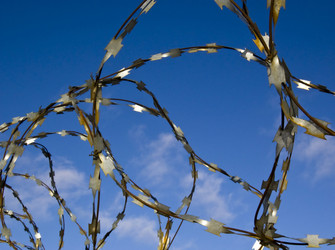 Similar image 295795