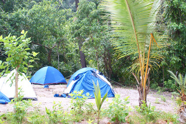 Similar image 295803