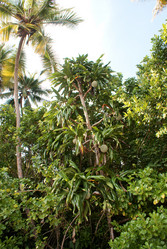 Similar image 295806