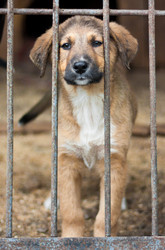 Similar image 295812