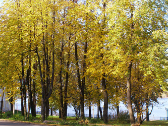 Similar image 295813