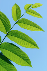 Similar image 295832