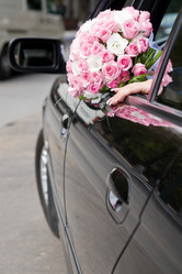 Similar image 295865