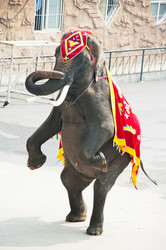 Similar image 295896