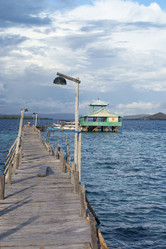 Similar image 295898