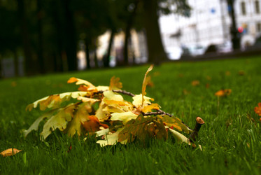 Similar image 295915