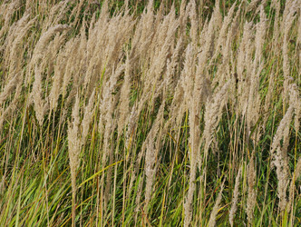 Similar image 295930