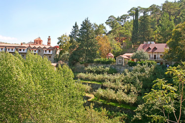 Similar image 295942