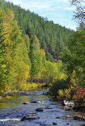 Similar image 296019