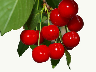 Similar image 296077