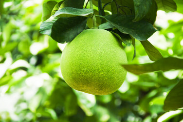 Similar image 296081