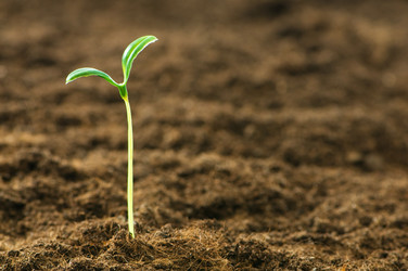 Similar image 296084