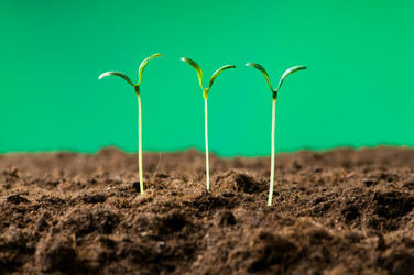 Similar image 296085