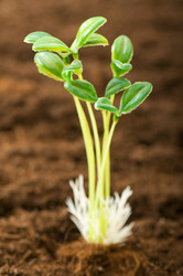 Similar image 296086