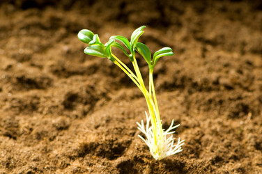 Similar image 296089