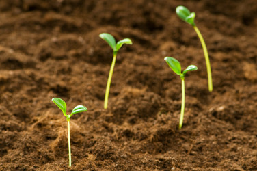 Similar image 296091