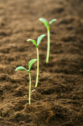 Similar image 296094