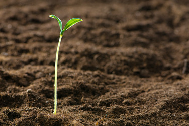 Similar image 296103