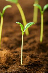 Similar image 296109