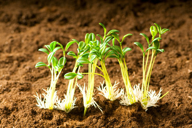 Similar image 296111