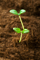 Similar image 296115