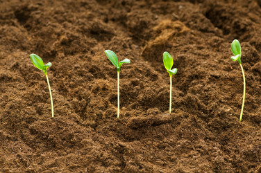 Similar image 296119