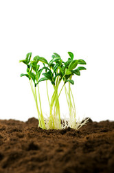 Similar image 296124