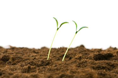 Similar image 296126