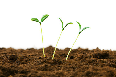 Similar image 296129