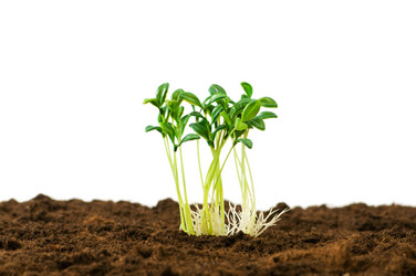 Similar image 296130