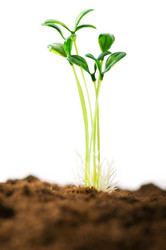 Similar image 296133