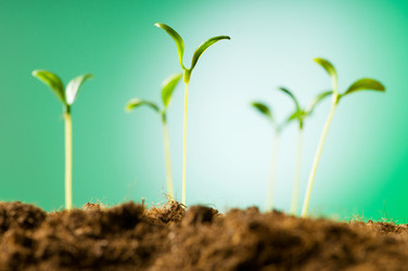 Similar image 296137