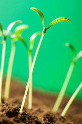 Similar image 296138