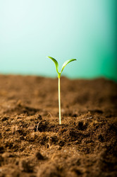 Similar image 296139