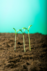 Similar image 296140