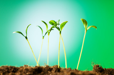 Similar image 296144