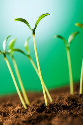 Similar image 296145