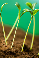 Similar image 296147