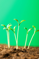 Similar image 296148