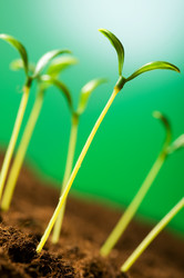 Similar image 296150