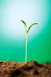 Similar image 296151