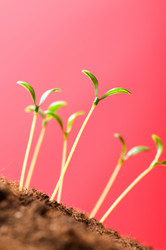 Similar image 296153