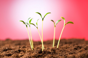 Similar image 296155