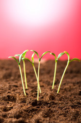 Similar image 296156