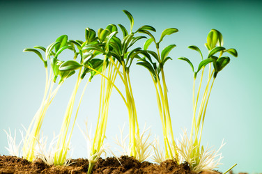 Similar image 296158