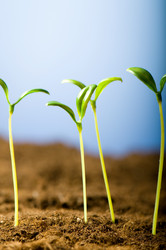 Similar image 296161