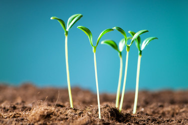 Similar image 296164