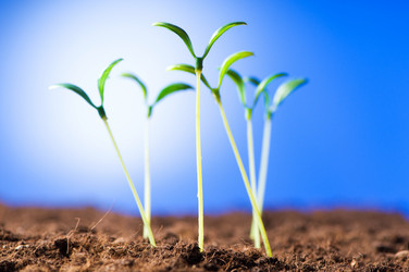 Similar image 296165