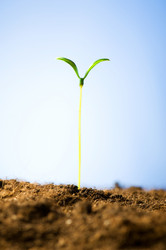 Similar image 296166