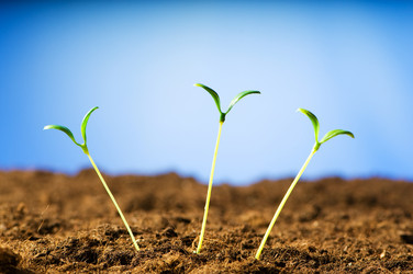 Similar image 296168